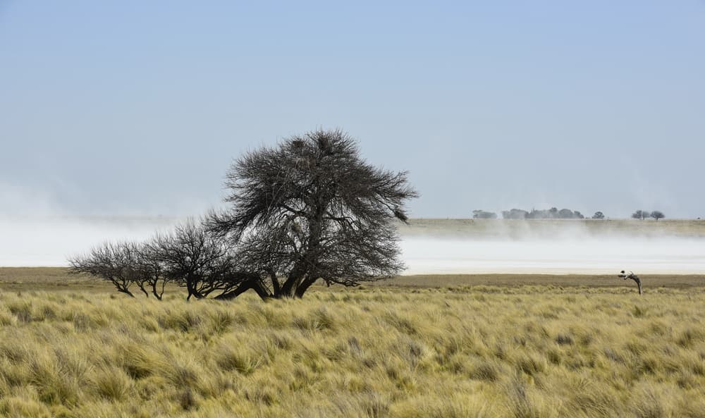 Removing US subsidies in climate risk zones limited disasters, study finds 