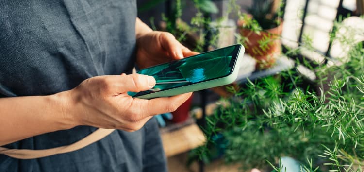 EBRD grants $20 million loan to Crédit Agricole Egypt to support SMEs and green investments 