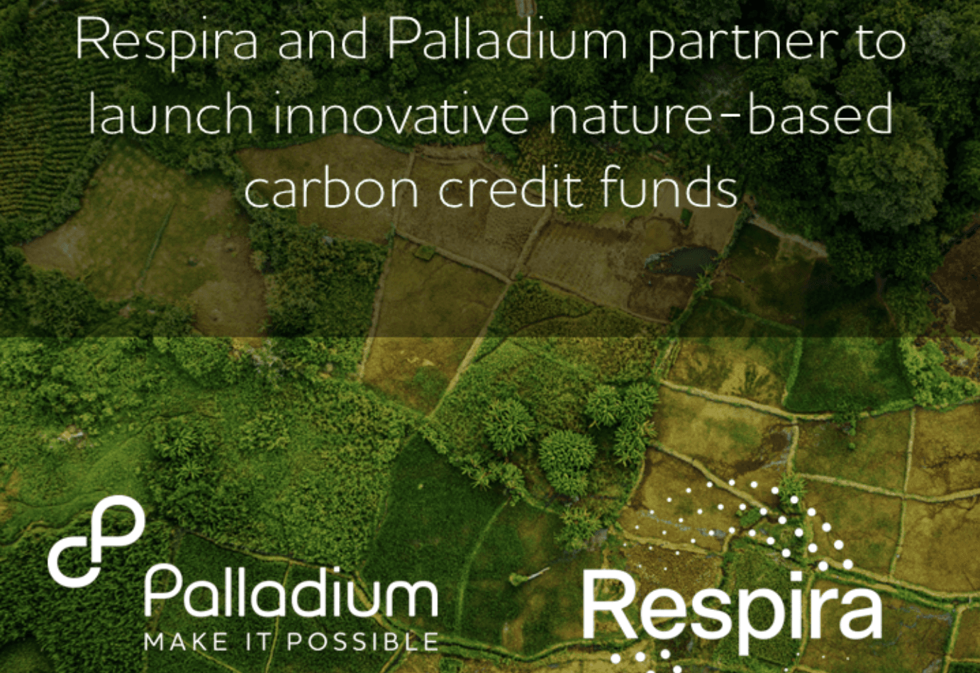 Respira Partners with Palladium to Launch New Nature-Based Carbon Funds