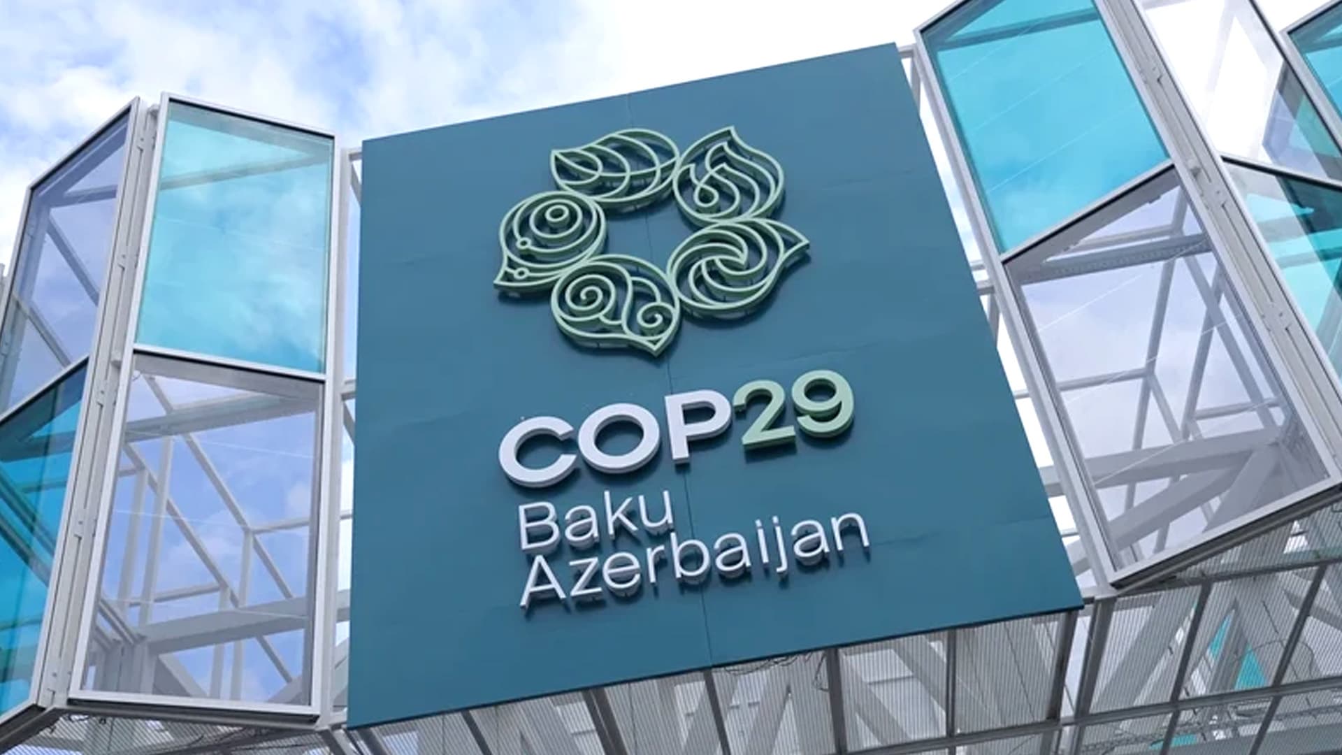COP29: Understanding Carbon Credits and the Role of Article 6