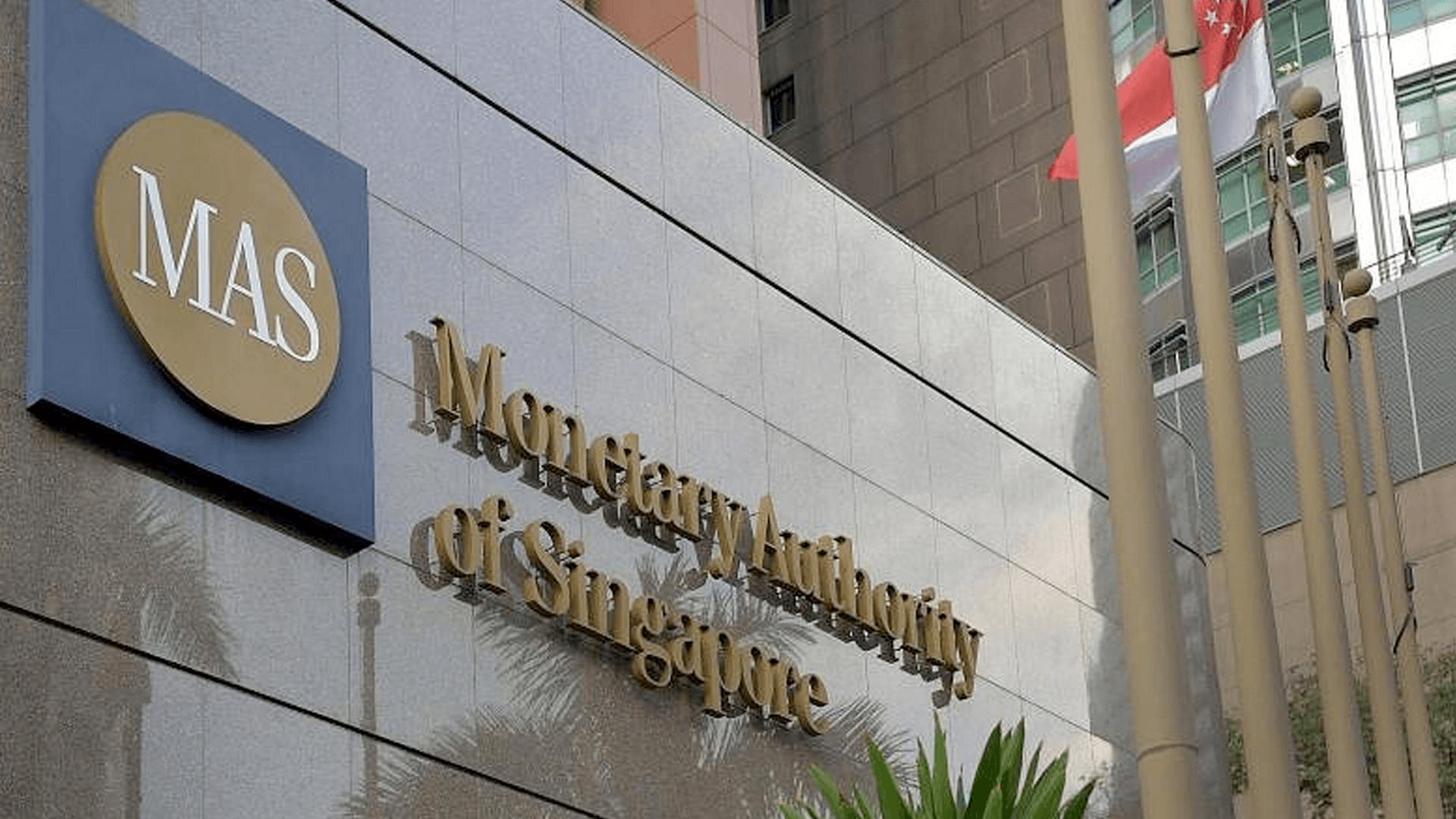 COP29: Singapore Joins EU and China in Expanding Green Financing Taxonomy