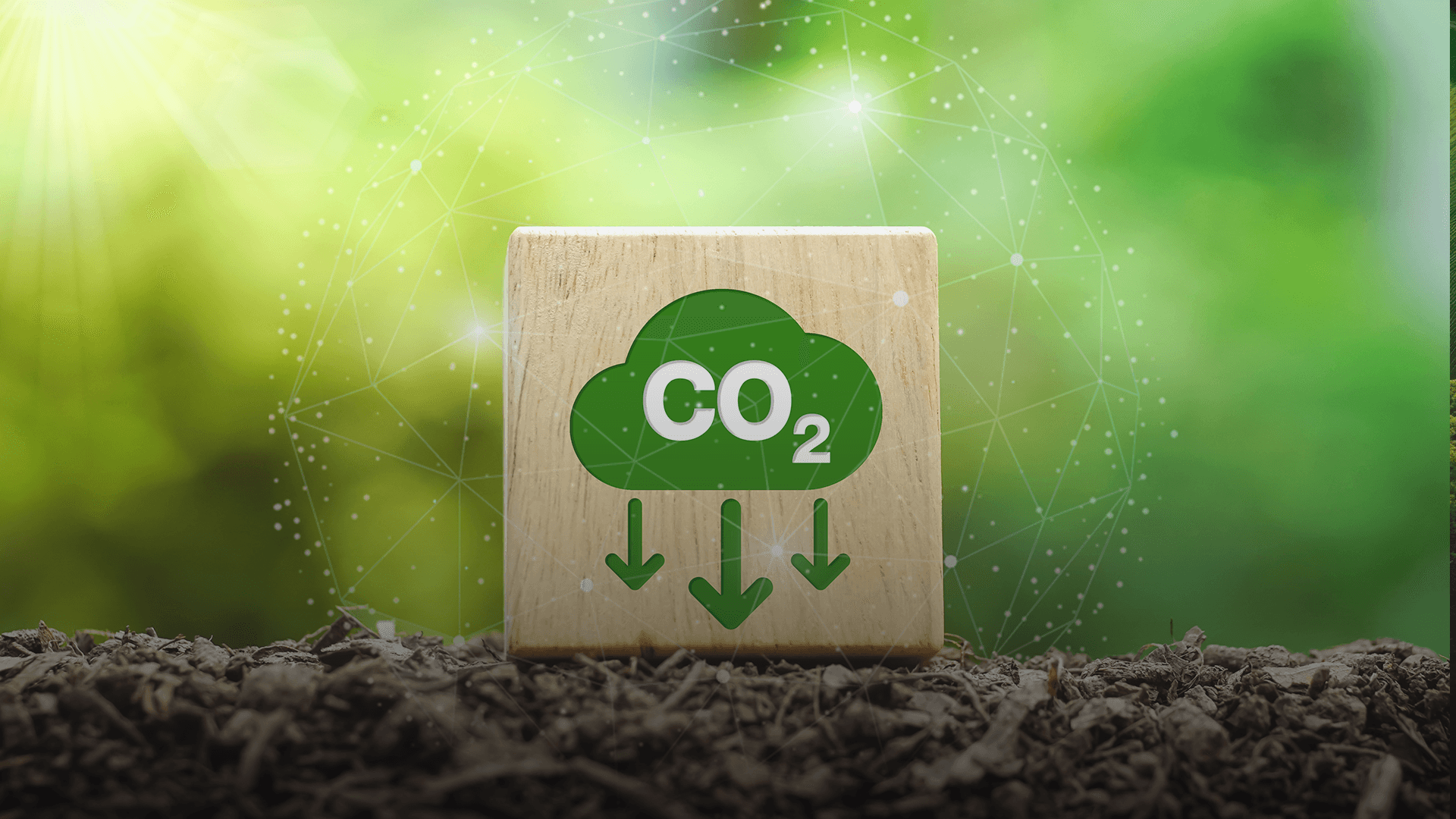UP Catalyst Wins World Economic Forum’s Carbon Capture and Utilization Challenge