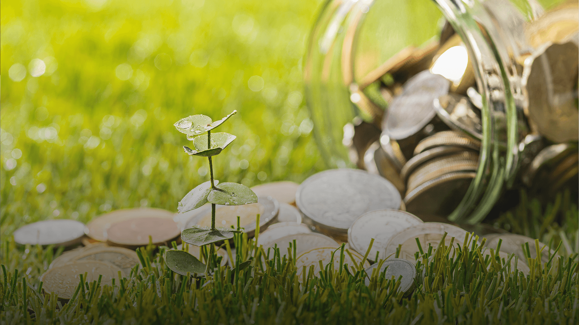 EBRD Boosts Green Finance with Loan to Komercijalna Banka in North Macedonia