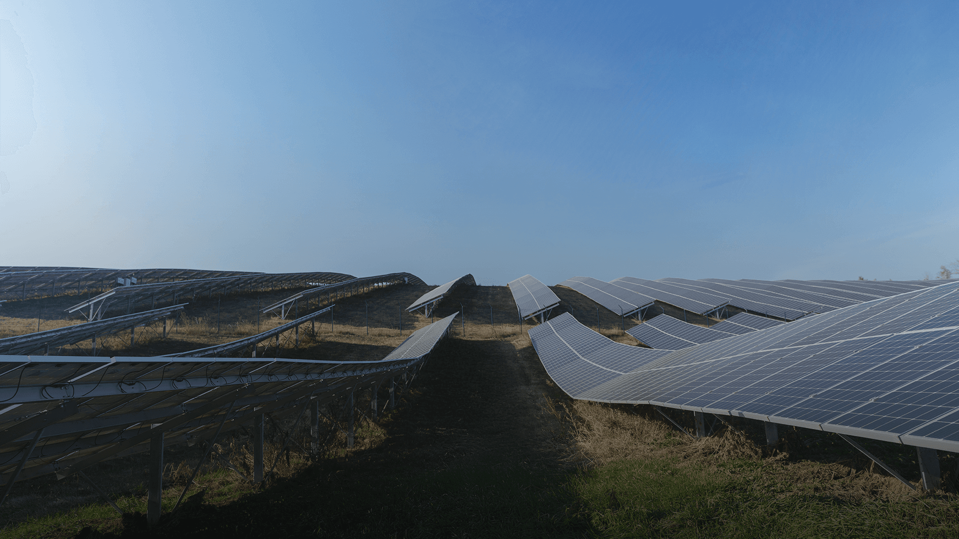Sterling and Wilson Renewable Energy Secures ₹1,200 Crore Solar EPC Order in Gujarat