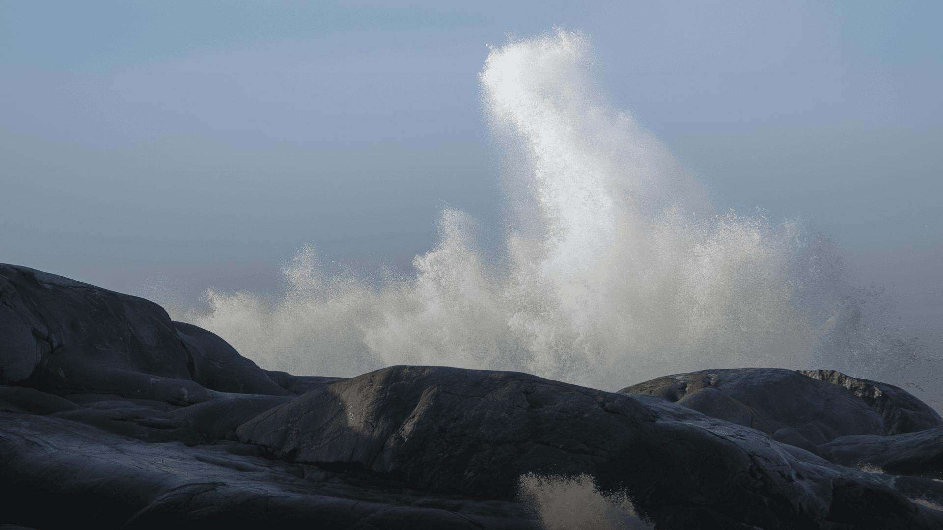 Gigablue Partners with SkiesFifty for Major Marine Carbon Removal Agreement