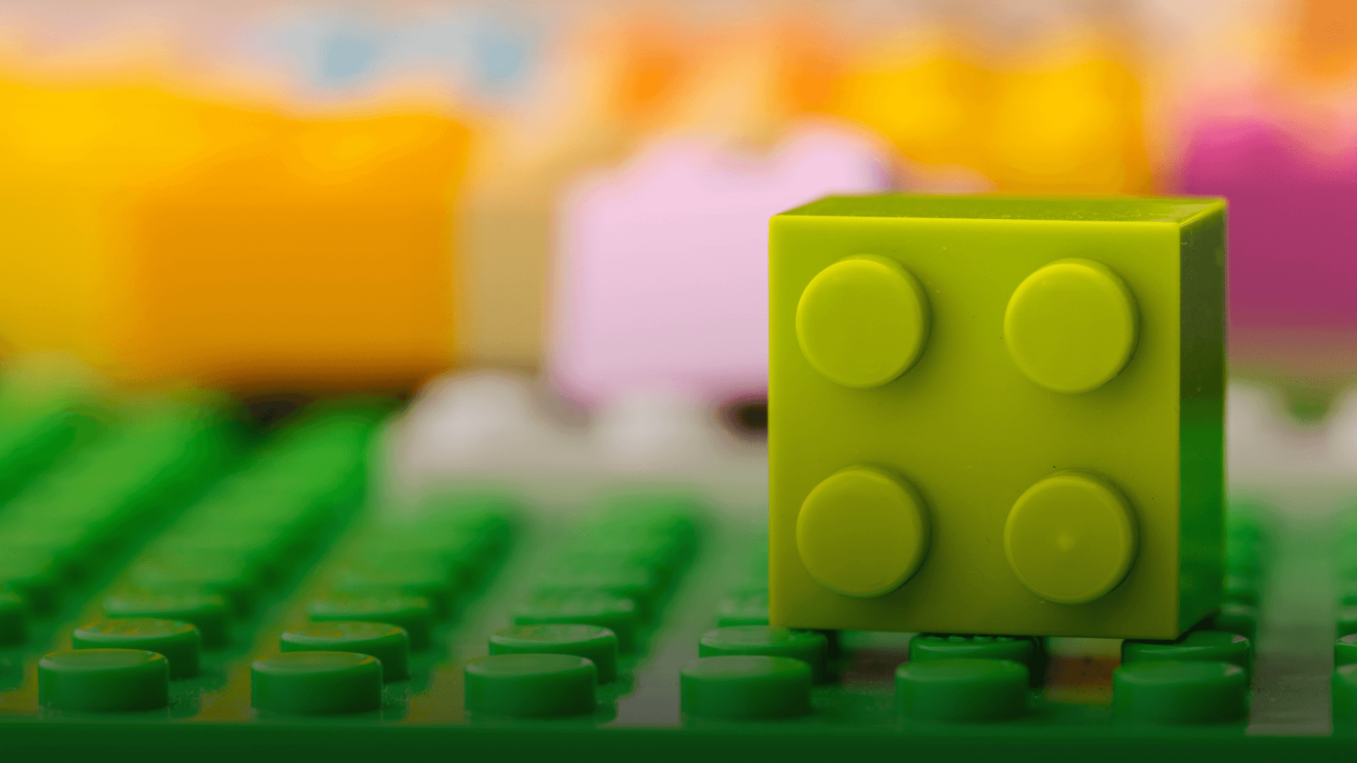 LEGO Group Commits DKK 19 Million to Support Carbon Removal Projects