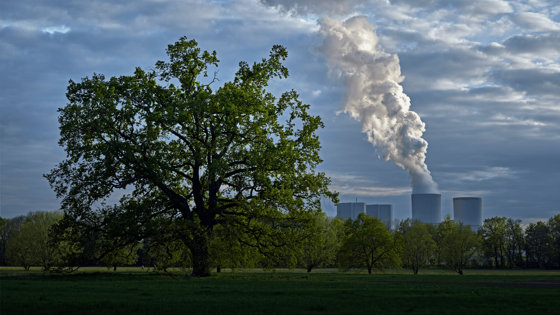 DevvStream Joins SCMA to Advance Article 6 Credits