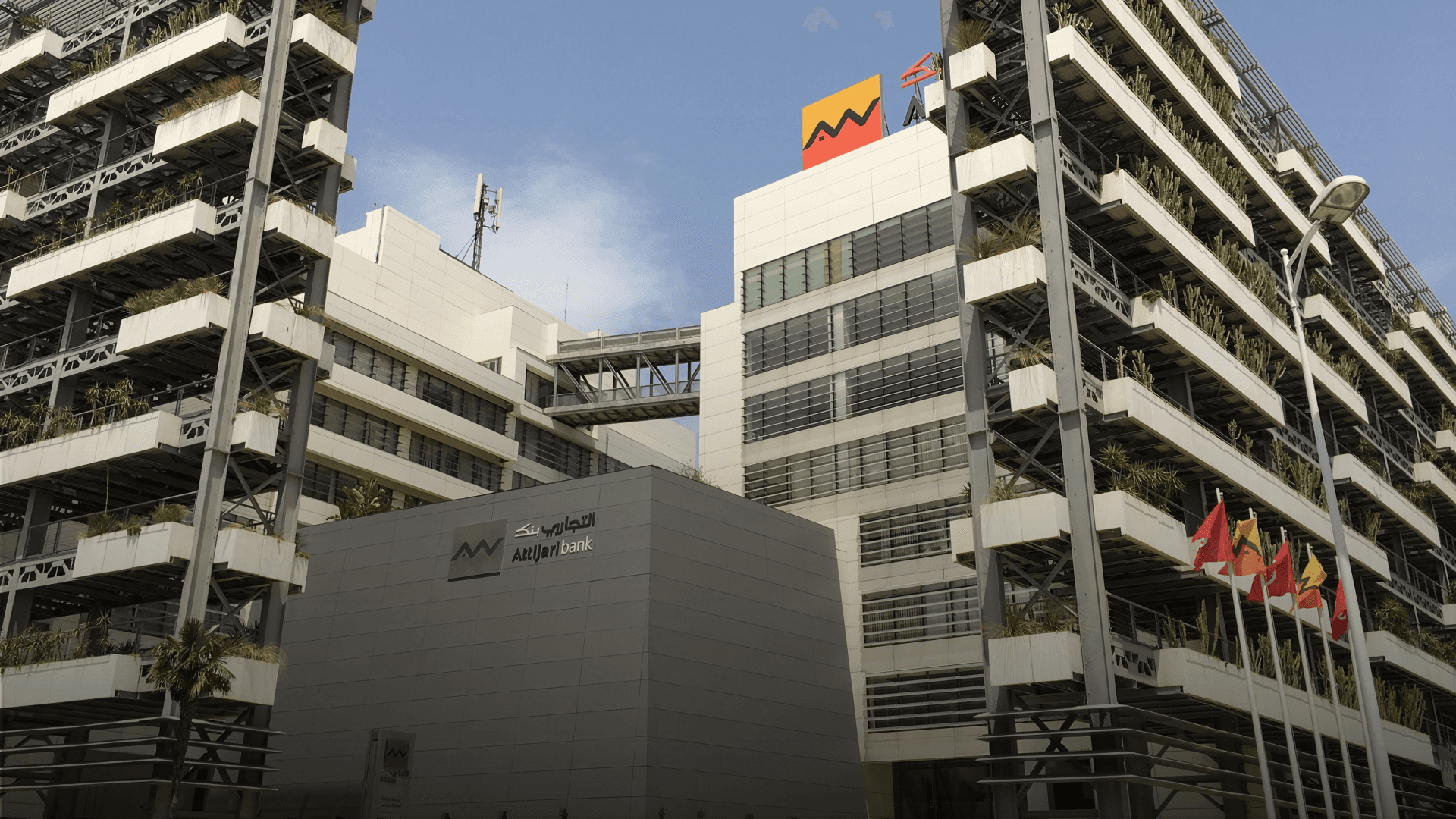 IFC Partners with Attijariwafa Bank Egypt to Support SMEs and Climate Finance