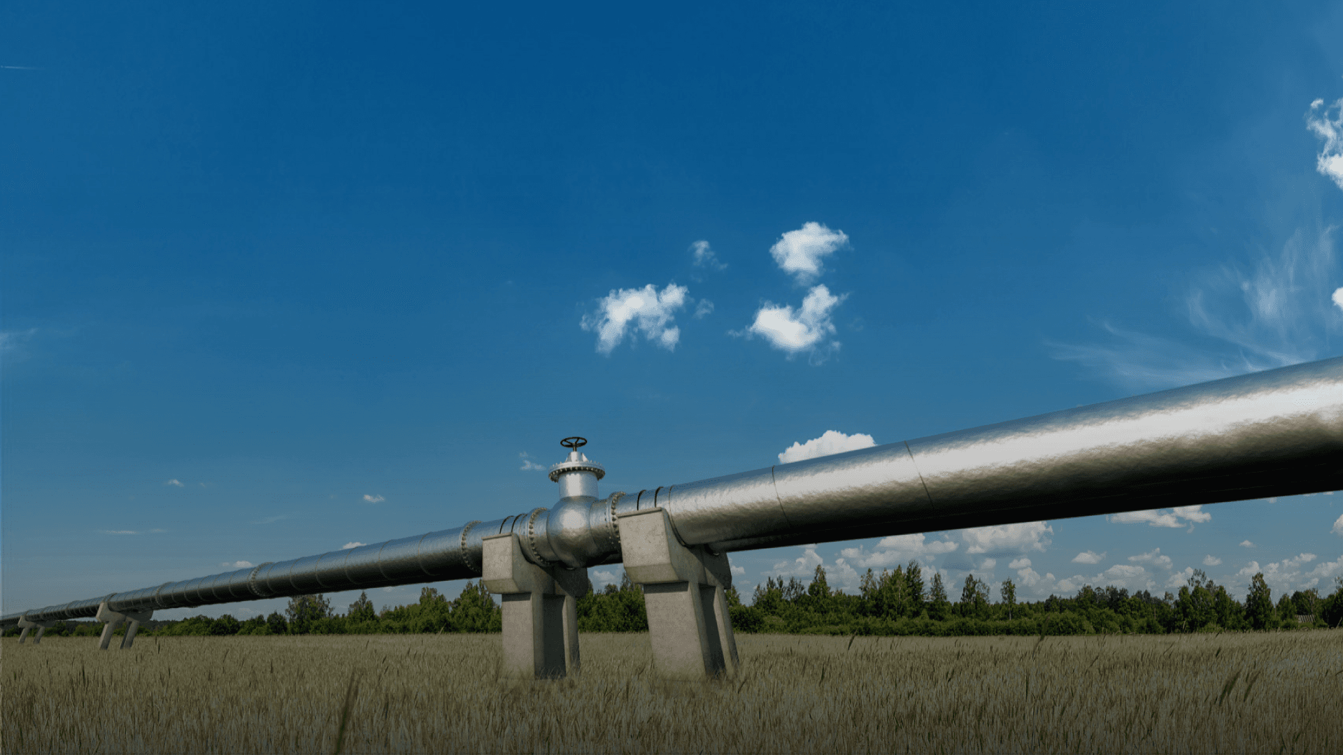 GreenGasUSA and Darling Ingredients Launch First Renewable Natural Gas Project in Georgia
