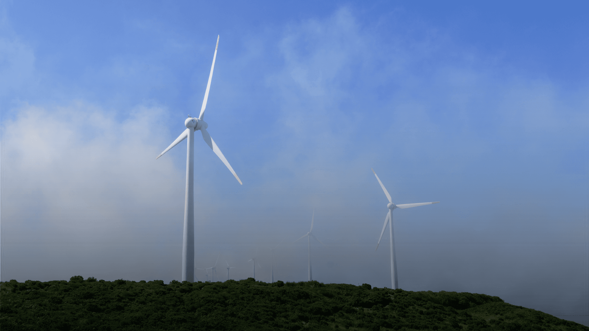 Tata Power Partners with Assam Government  to Develop 5000 MW Renewable Energy