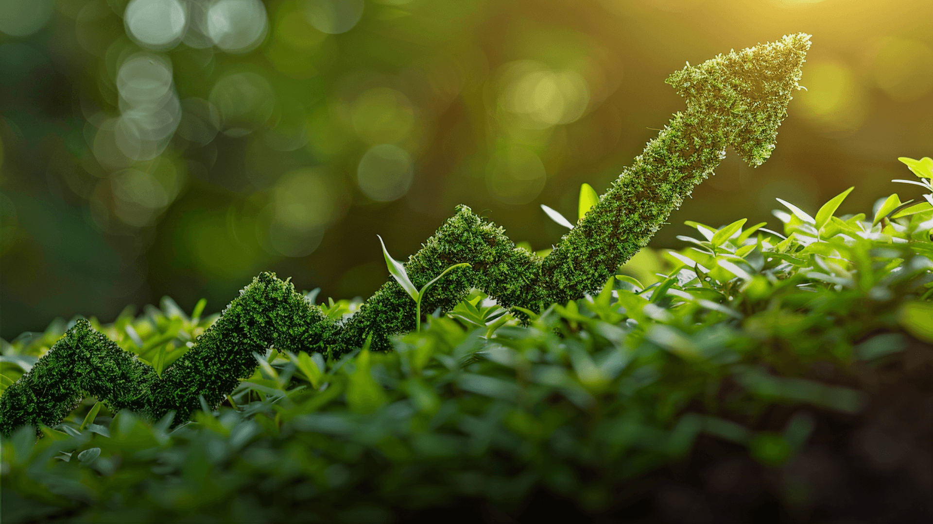 EIB and Sparkasse Bank Partner to Strengthen Green Finance in North Macedonia