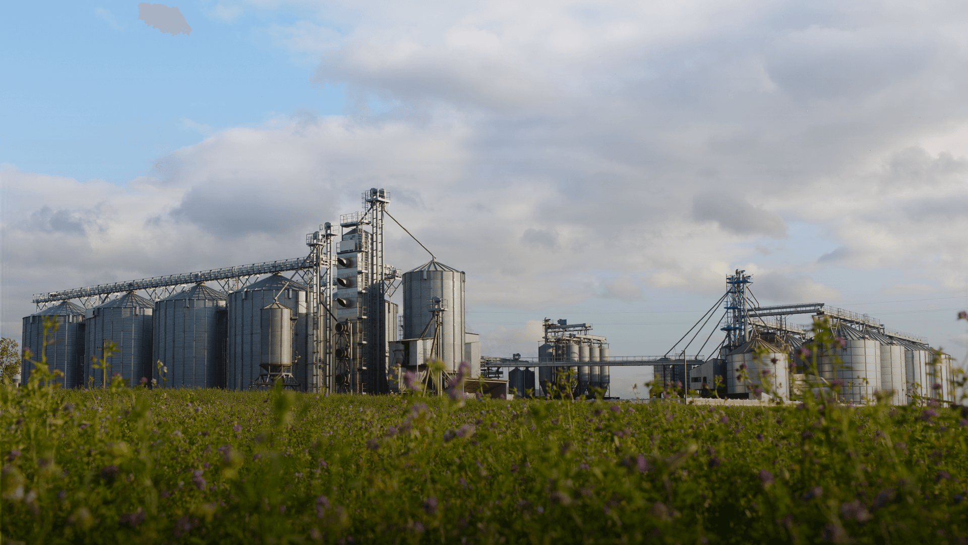 TotalEnergies Launches BioNorrois, Expanding Biomethane Production in Normandy