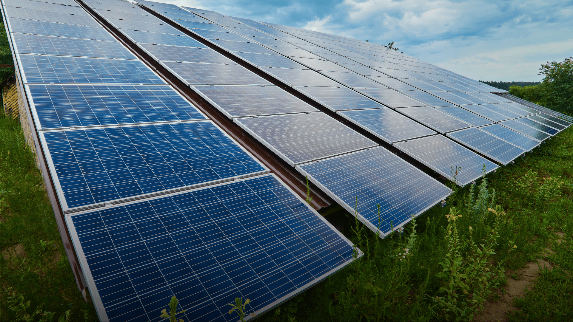 Plenitude and Infrastrutture Complete 37 MW Agri-Voltaic Plant