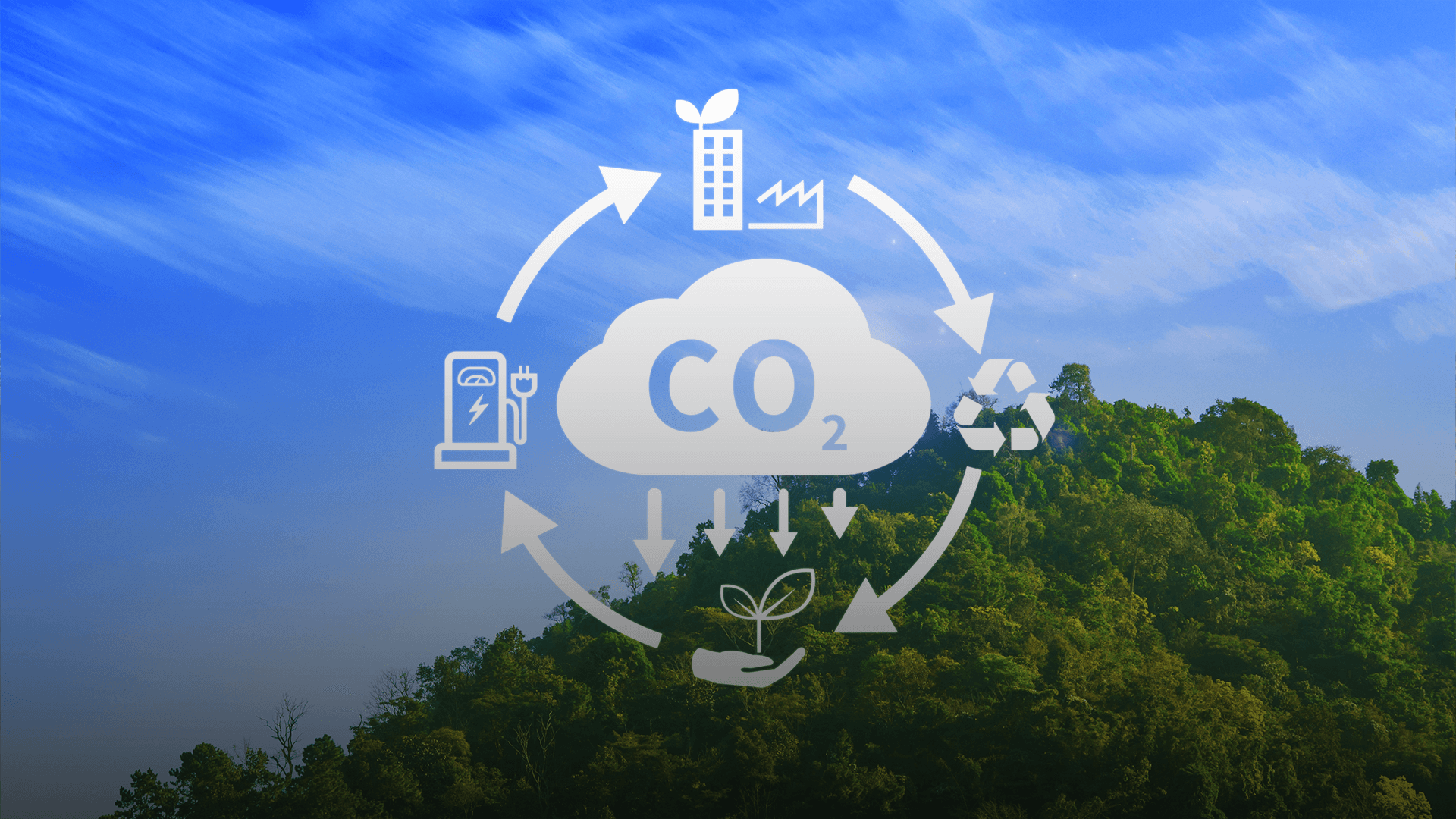 Canadian Natural Resources Ltd. Allocates $90 Million for Carbon Capture