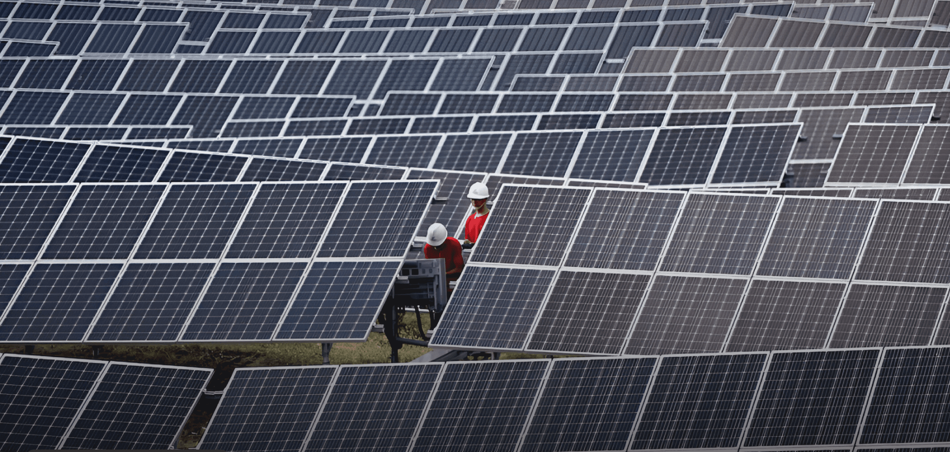 New US Solar Tariffs on Southeast Asia to Impact Prices and Profit Margins