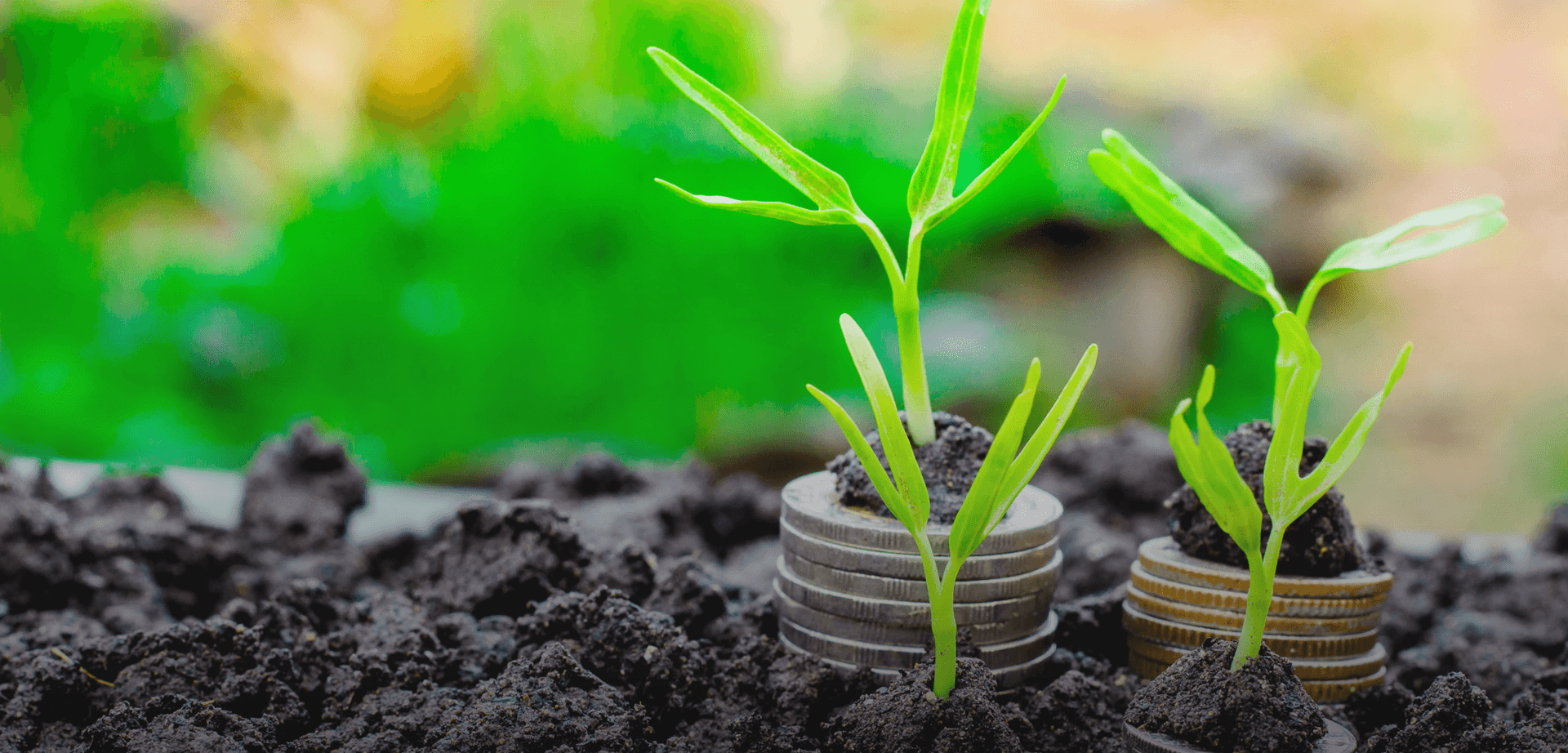 KBC and EIB Launch €600 Million Facility to Support Sustainability Investments for Belgian SMEs