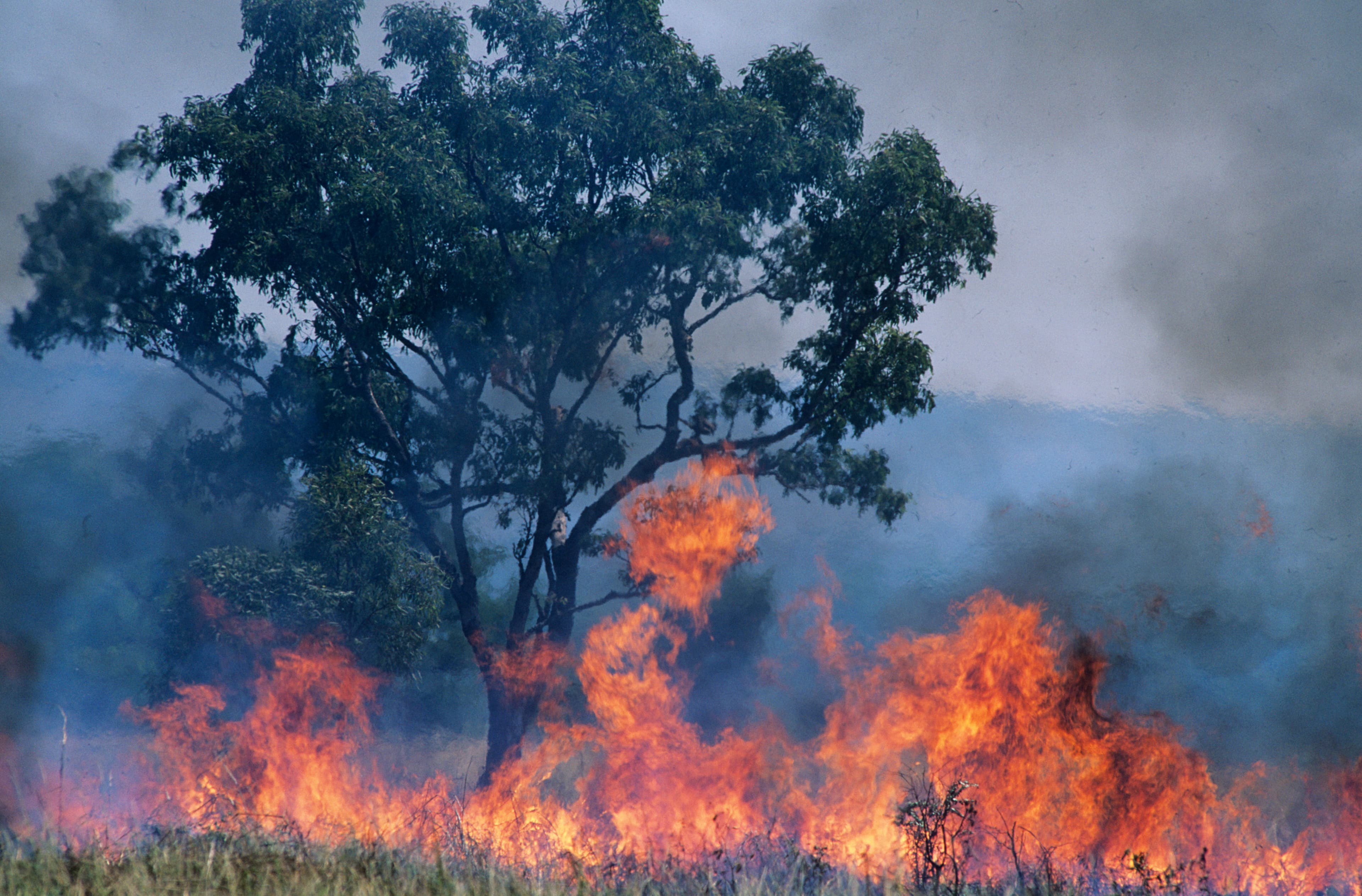 Australia's pension funds eye returns amid rising natural disasters