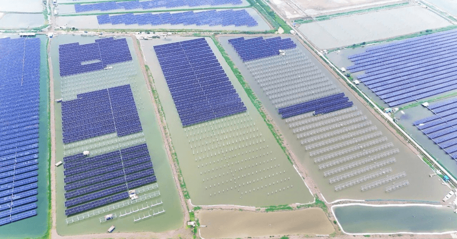 DMEGC Solar to Launch 940MW Fishery-PV Project in Jiangsu, Combining Renewable Energy With Aquaculture