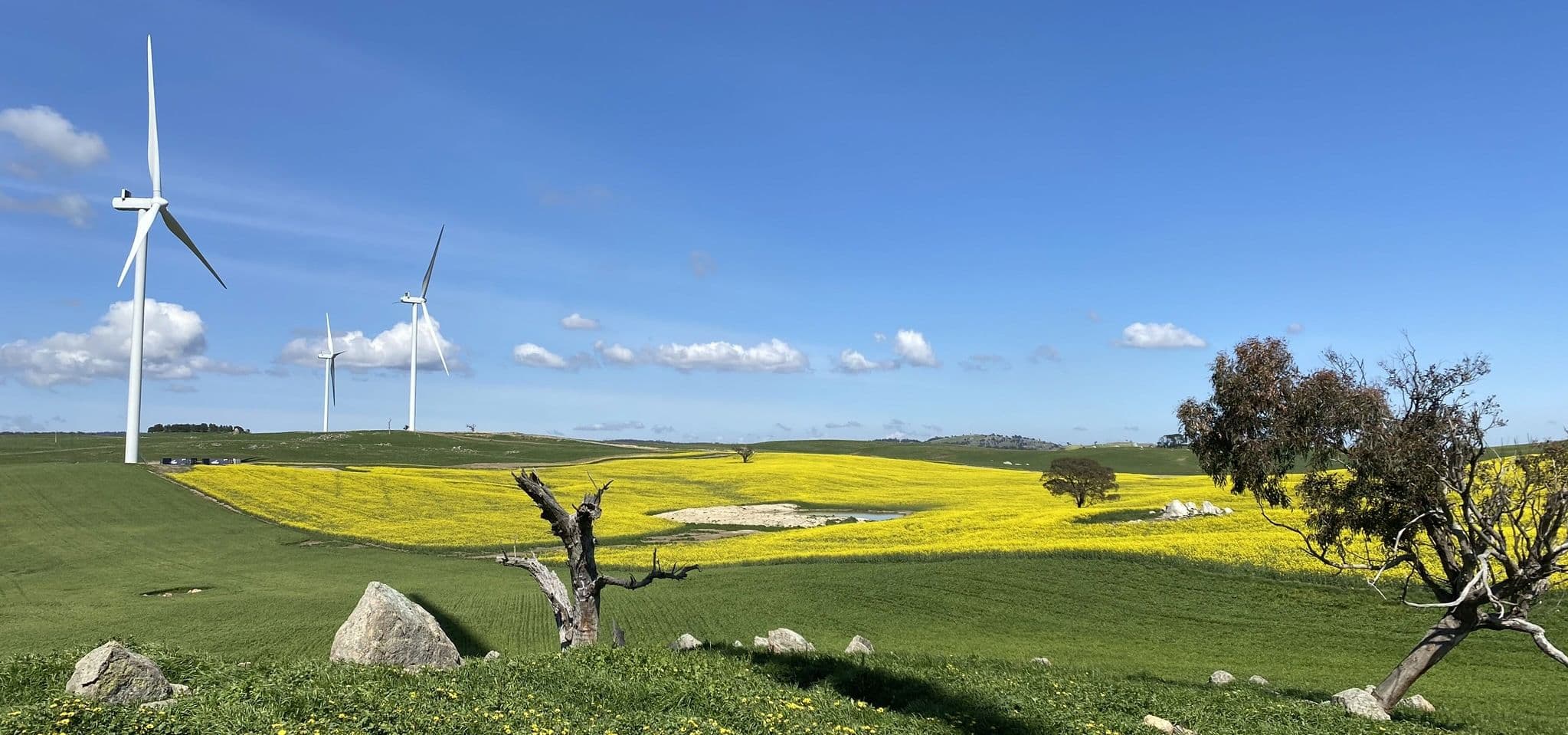 SBS signs 10-year renewable energy deal with ZEN Energy