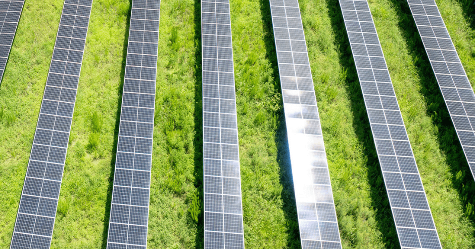 Chaberton Energy and Pivot Energy to Launch Community Solar Project in Maryland