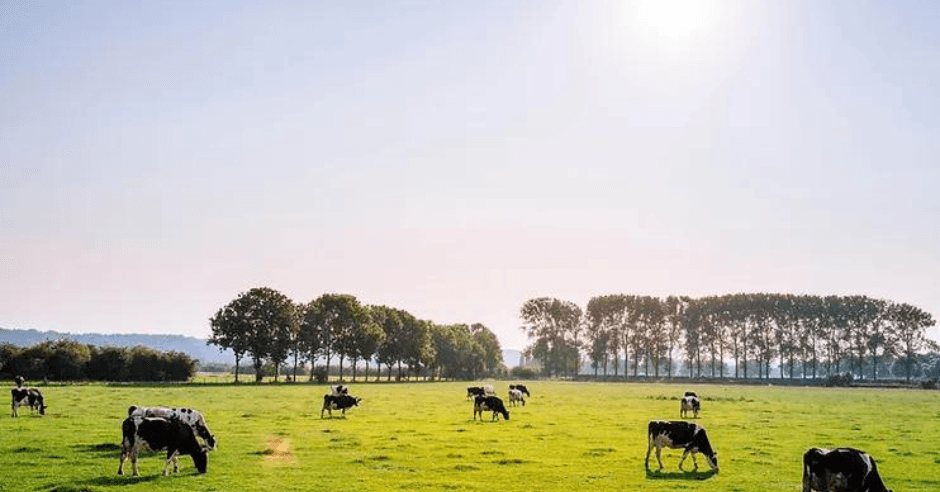 Ajinomoto and Danone Collaborate to Reduce GHG Emissions in Dairy Supply Chain
