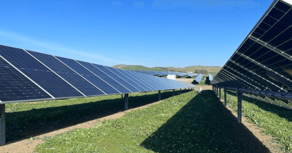 EIB Secures €166 Million Green Loan with BNZ to Enhance Renewable Energy in Spain, Italy, and Portugal