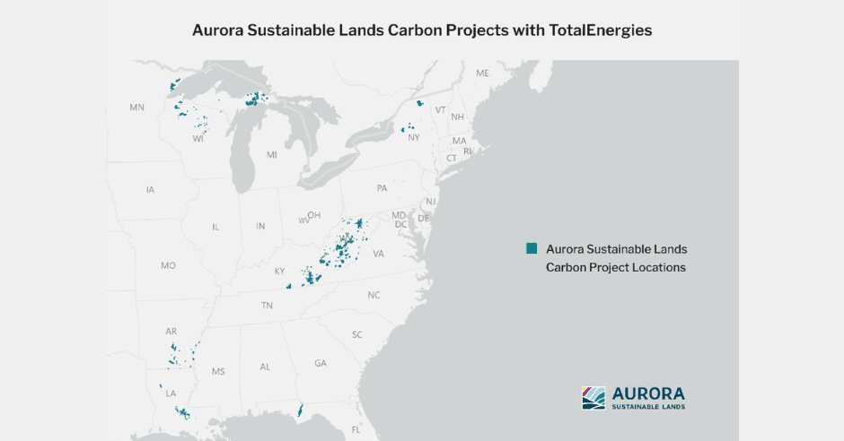 TotalEnergies Invests $100M in US Forest Projects to Enhance Carbon Sequestration