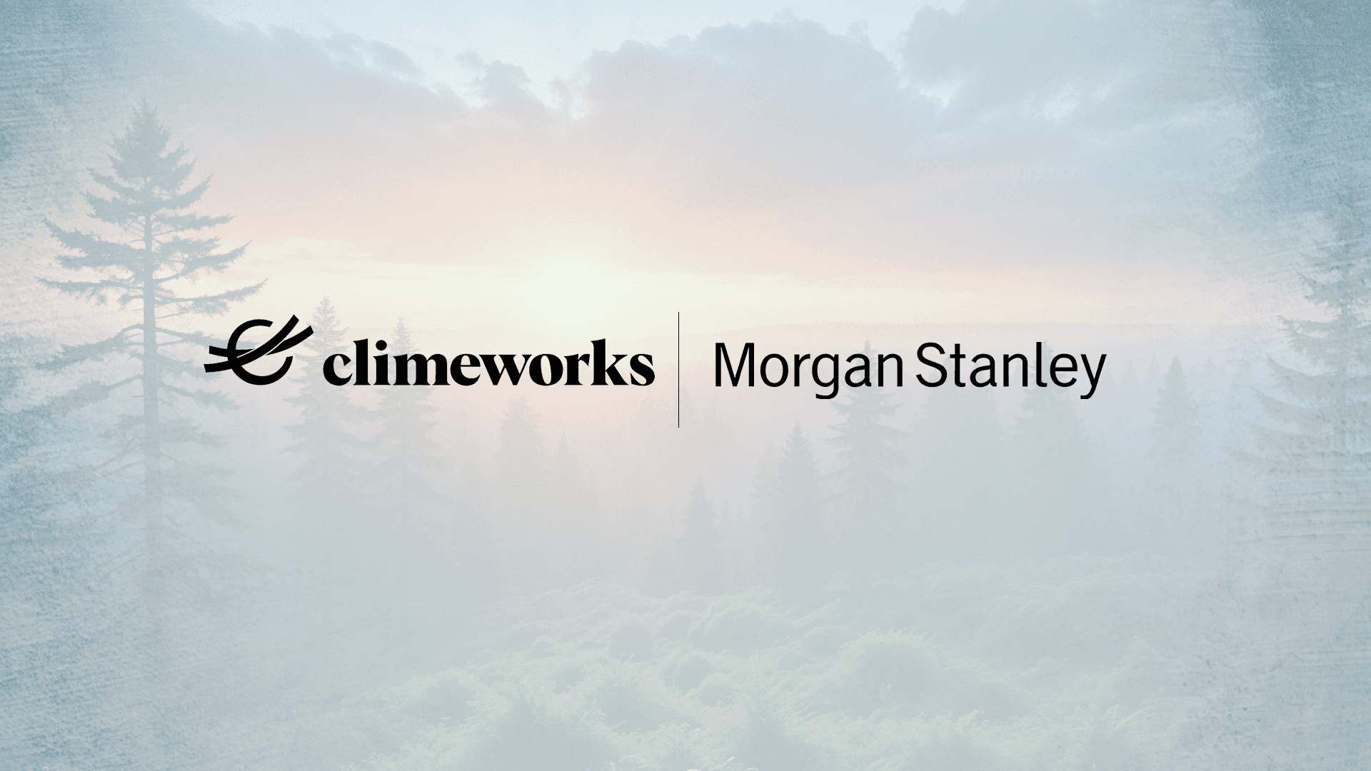 Morgan Stanley Signs Carbon Removal Agreement with Climeworks
