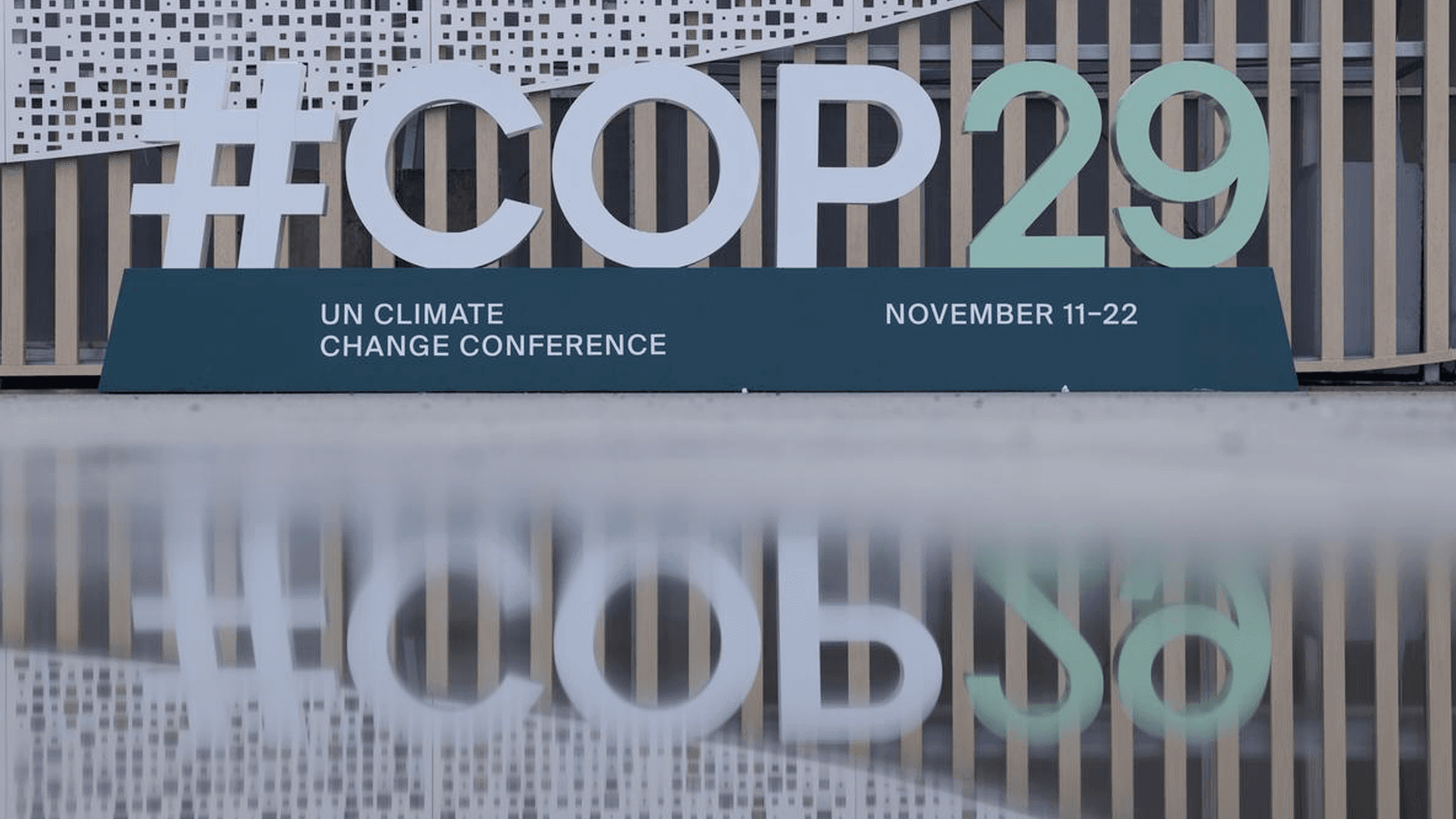 Ahead of COP29, India to Stress Paris Agreement Principles on Climate Finance