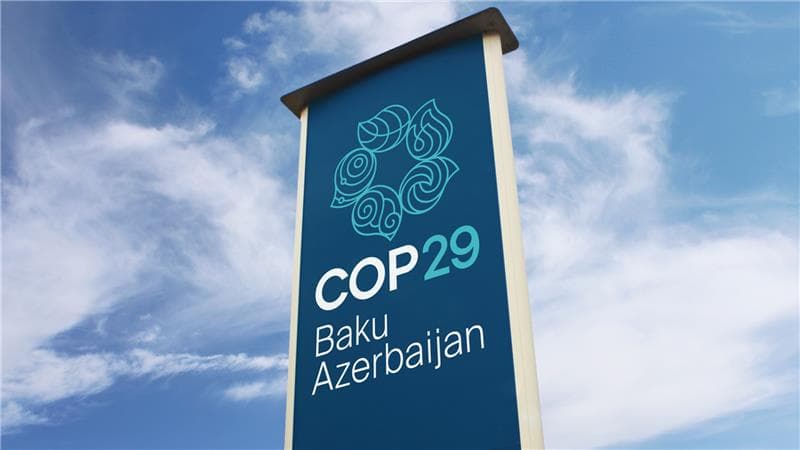 IAEA to Advocate for Nuclear Solutions at COP29