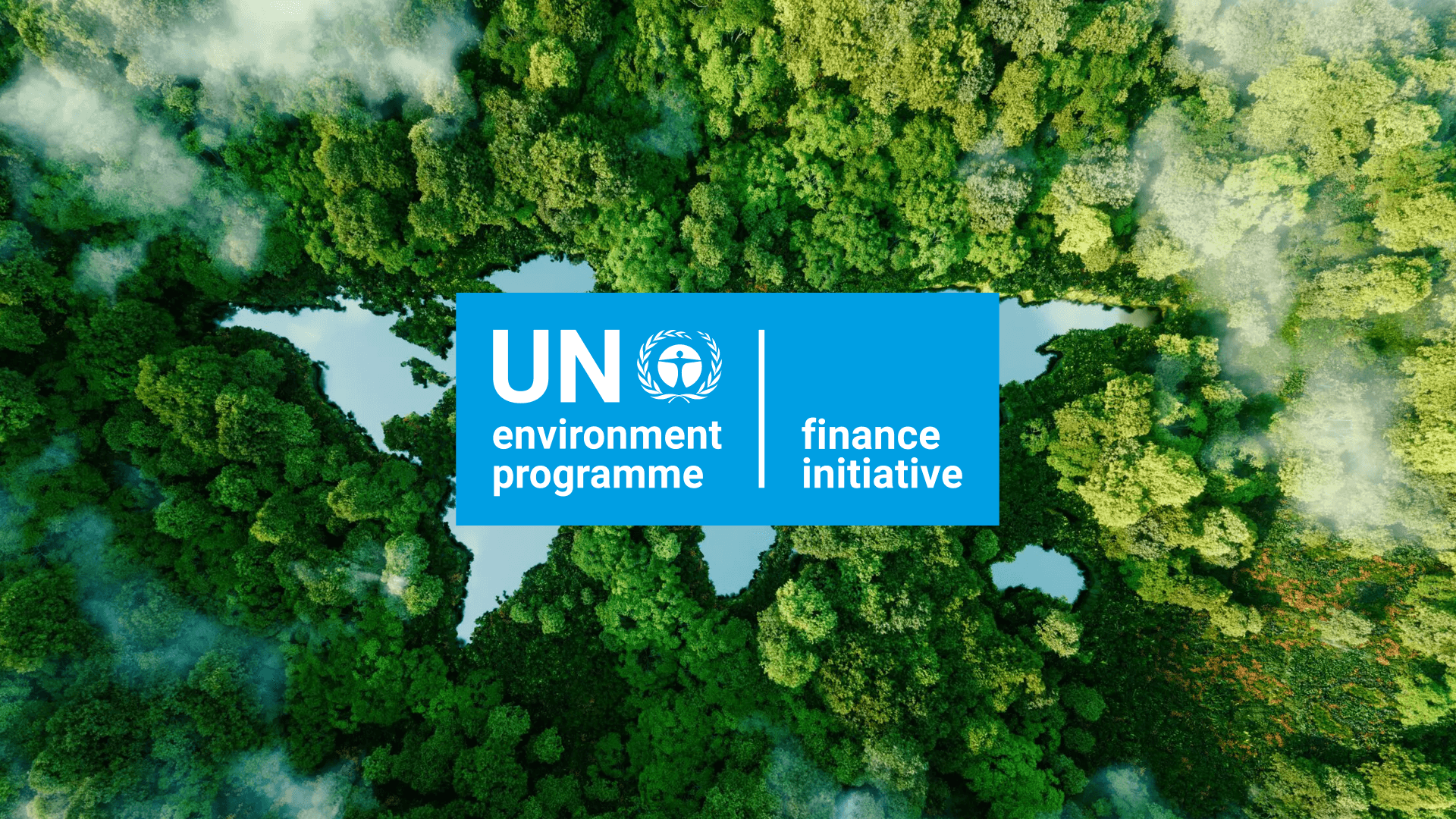 UN Forum Launches Global Guide on Net-Zero Transition Plans for Insurance at COP29