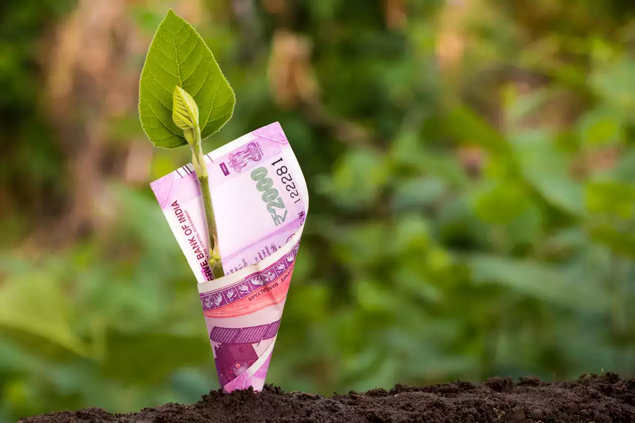 RBI unveils framework for green deposits - FAQs answered