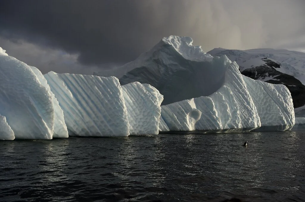 Antarctica's transformative changes in 2023 ring alarm bells for global consequences