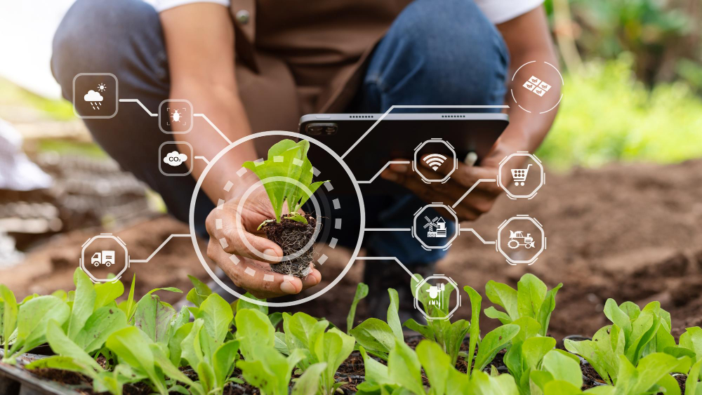 Grow Indigo raises over $8 million in recent funding round for sustainable agriculture