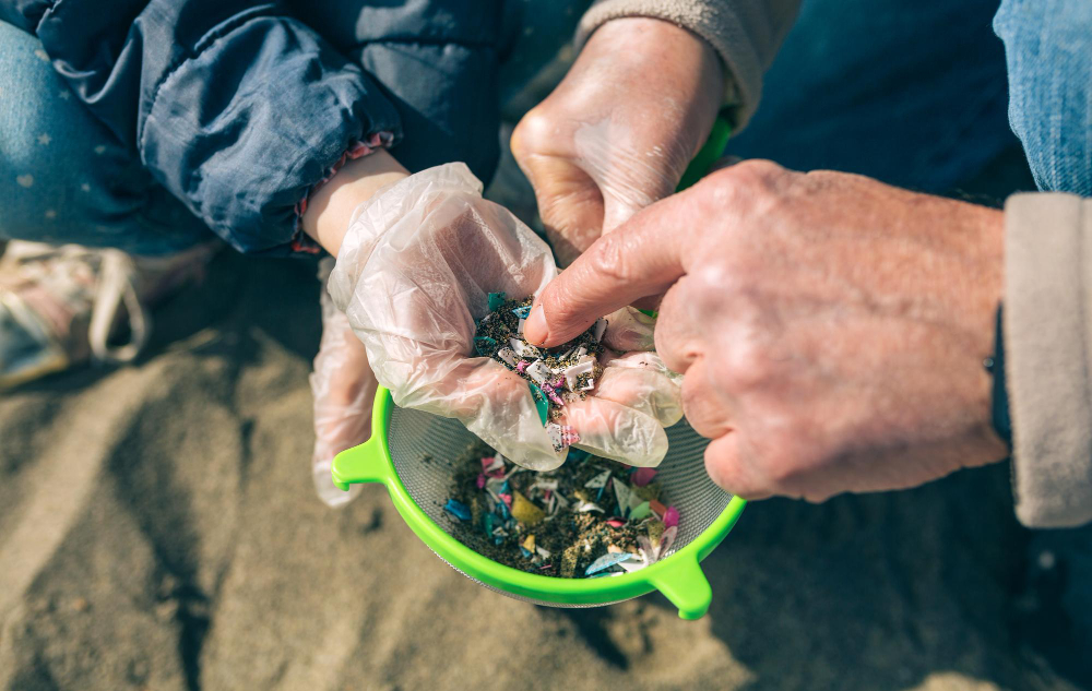 Study finds microplastics present in 100% samples of human placentas