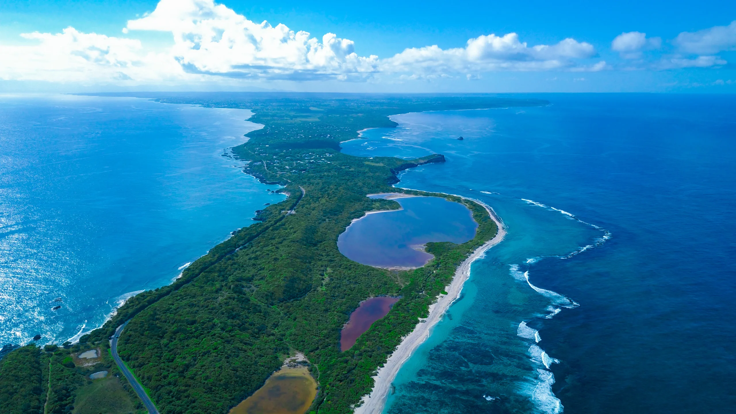 IMF advises Pacific Islands to explore debt-for-nature deals