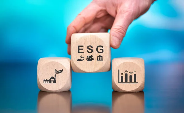 Asian asset owners focus on ESG investment strategies: Report