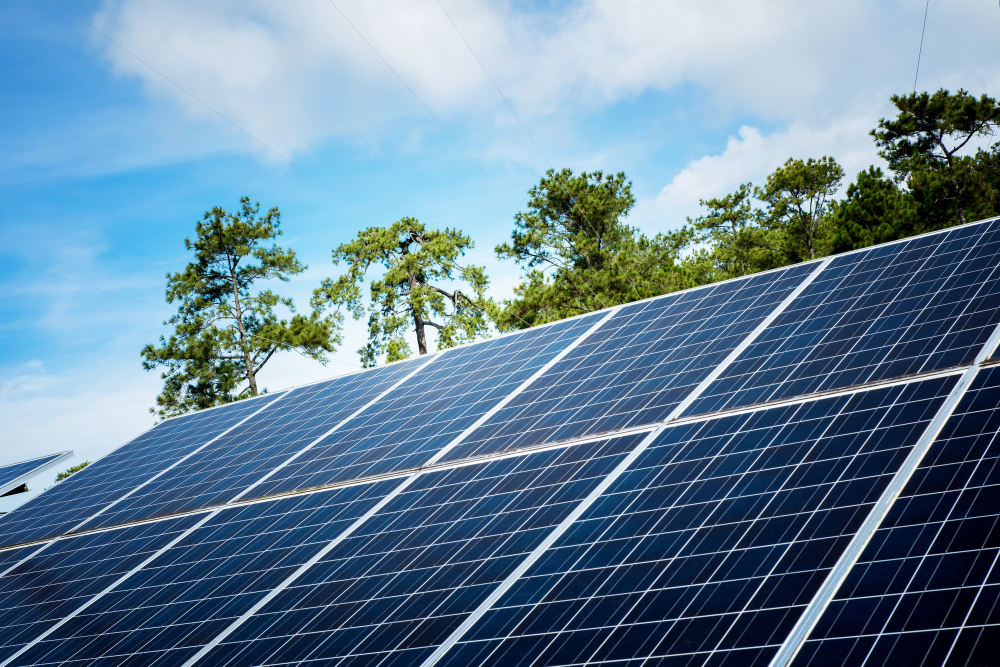 Walmart invests in 19 solar projects across US, partners with Pivot Energy 