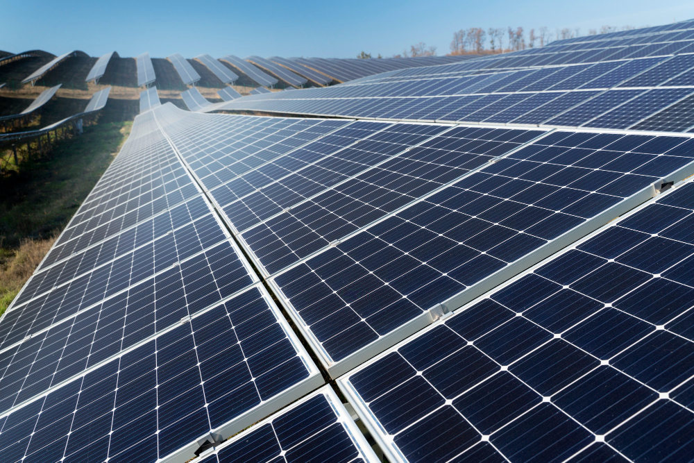 Delhi government unveils ambitious solar policy