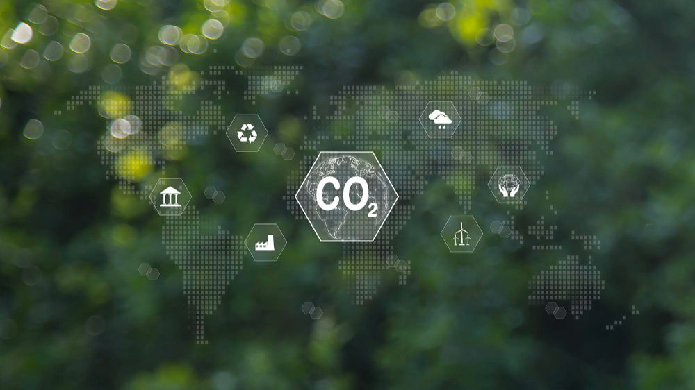 CFC launches innovative carbon delivery insurance to boost voluntary carbon market