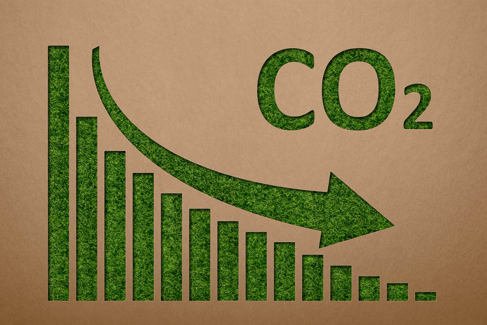 European carbon prices drop amid rapid decarbonization