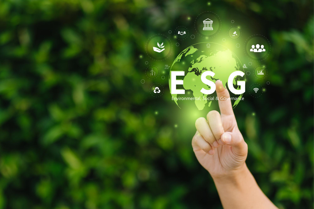 Insurers express concerns over greenwashing amid tightening ESG criteria