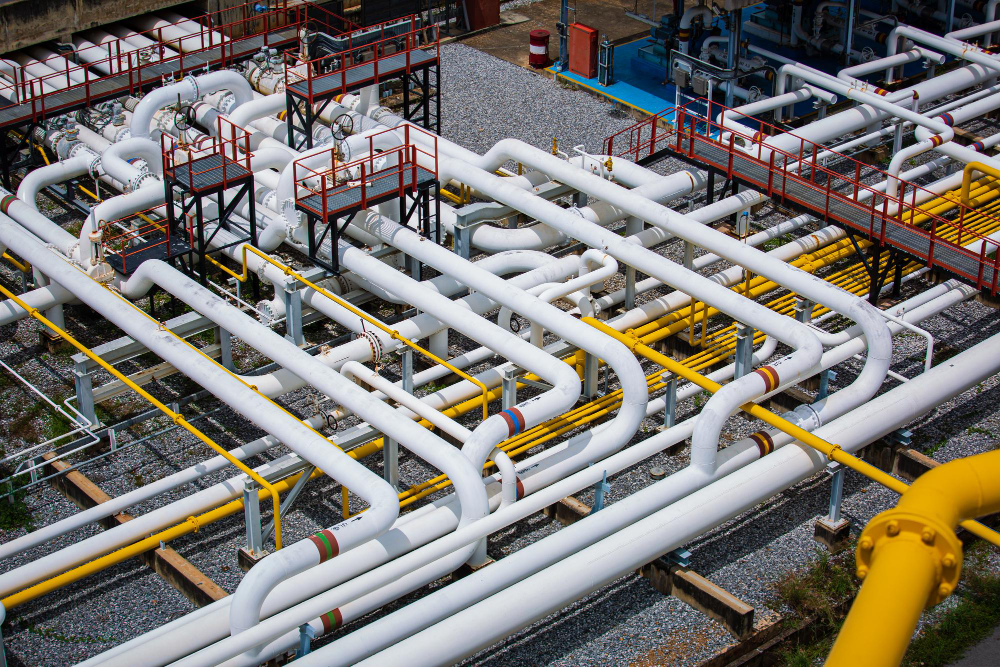 PNGRB advances green hydrogen transport via natural gas pipelines