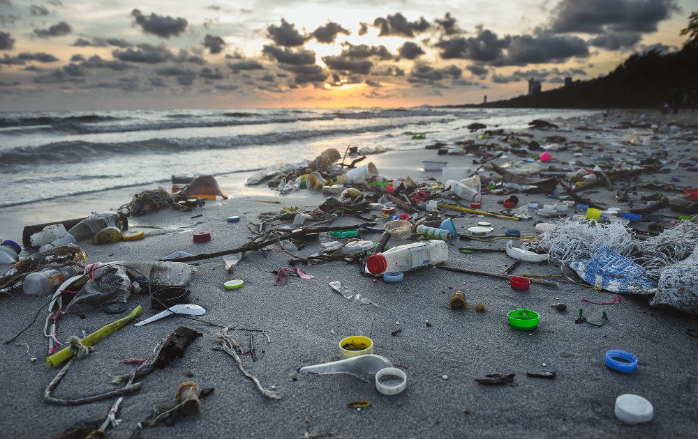 Financial sector urge for international treaty to curb plastic pollution