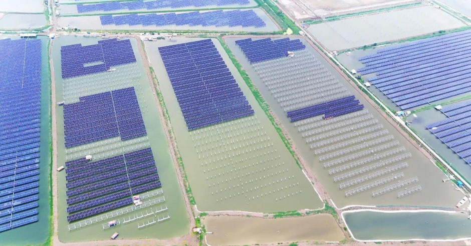 dmegc-solar-to-launch-940mw-fishery-pv-project-in-jiangsu-combining-renewable-energy-with-aquaculture