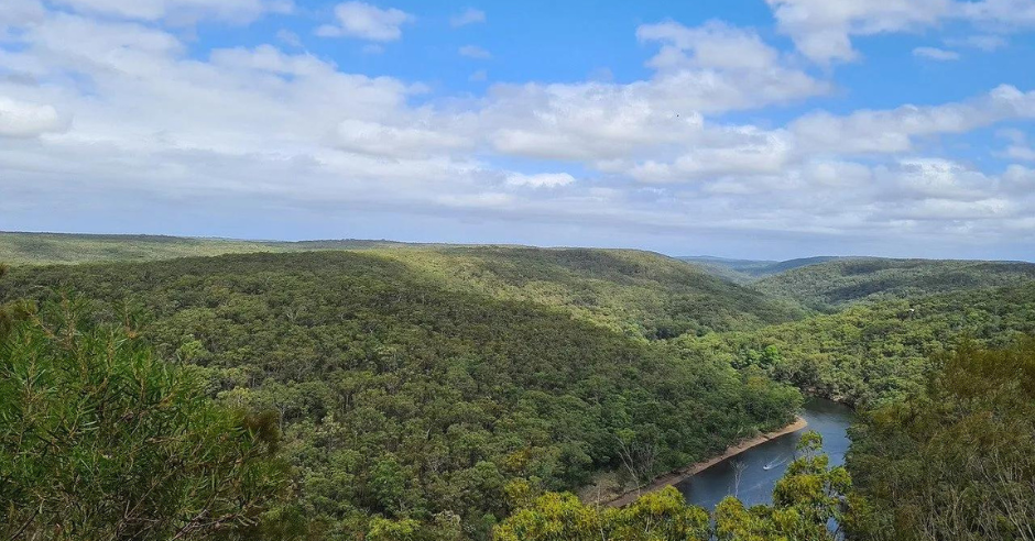 experts-warn-against-forestry-australias-proposal-to-remove-trees-for-carbon-credits