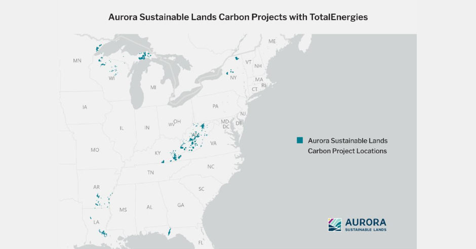 totalenergies-invests-100m-in-us-forest-projects-to-enhance-carbon-sequestration