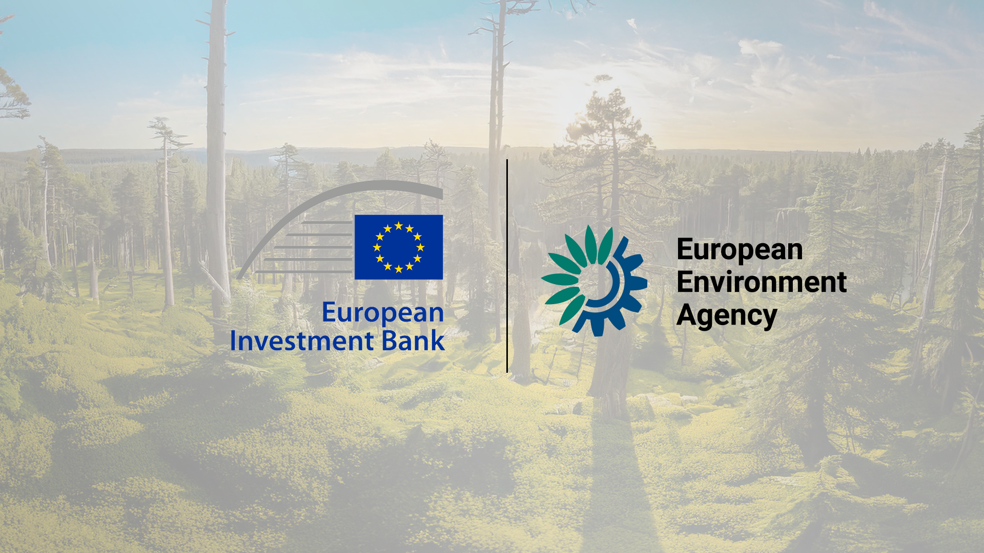 European Investment Bank and European Environment Agency Partner to Advance Climate Action and Sustainable Finance