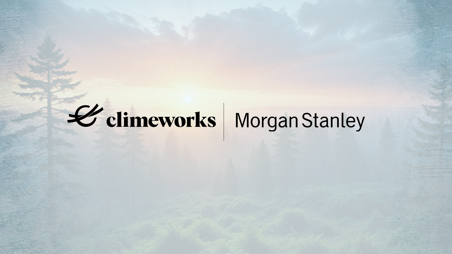 Morgan Stanley Signs Carbon Removal Agreement with Climeworks