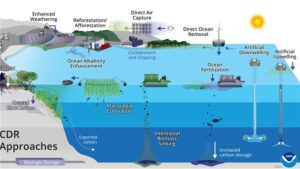 NOAA Launches Strategy to Advance Marine Carbon Removal Research